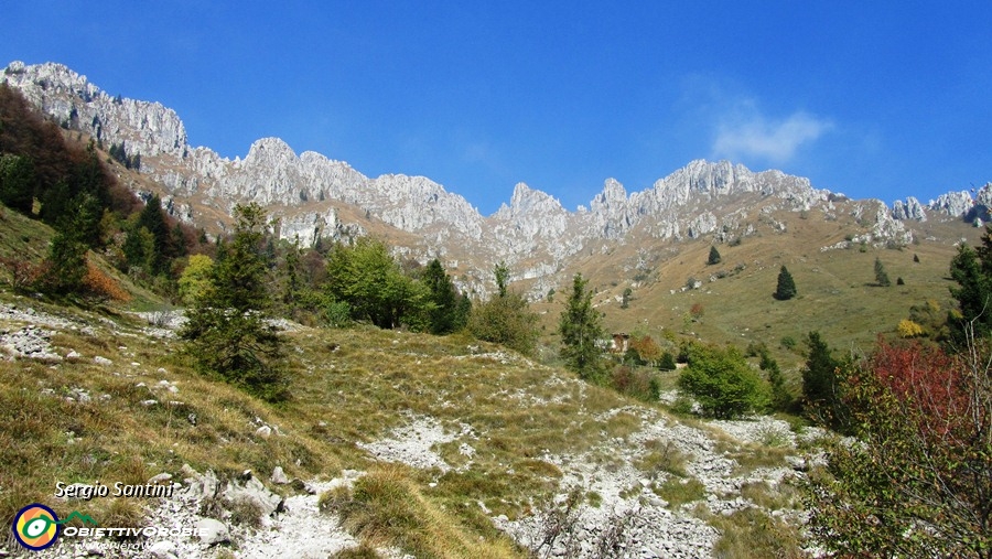 11 Usciti dal bosco.JPG